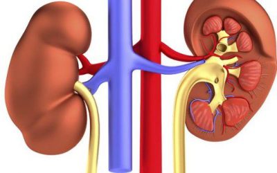 Cisti renali: nessun timore!